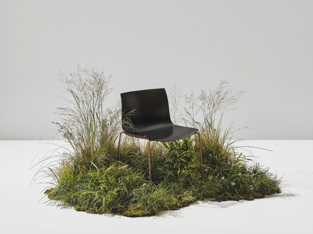 A inovadora Catifa Carta