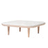 Fly SC4 Coffee Table
