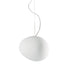 Gregg Pendant Lamp / Medium
