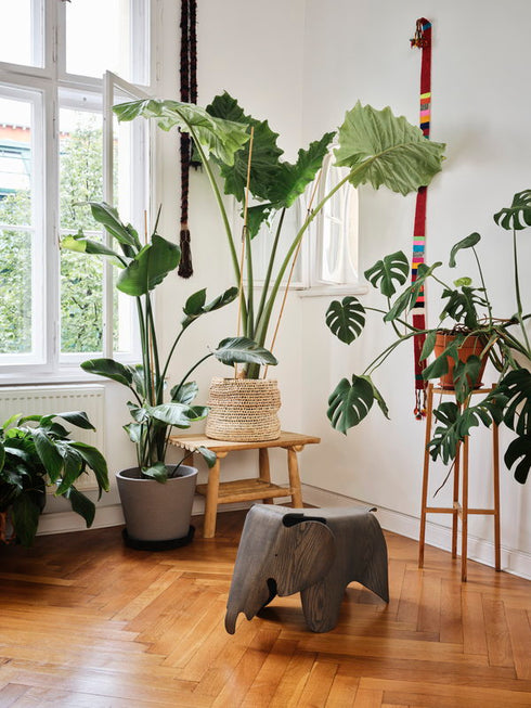 Eames Elephant / Plywood