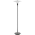 Ph 3 1/2 - 2 1/2 Floor Lamp