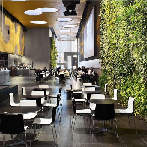 Catifa 46 0251 Chair Bicoloured Frame Chrome