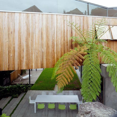 Catifa 46 0251 Chair Bicoloured Frame Chrome