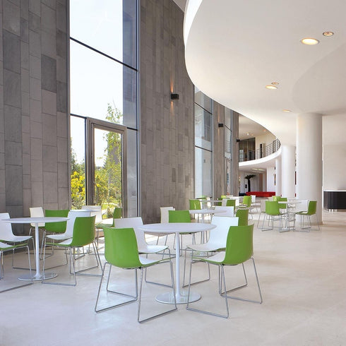 Catifa 46 0278 Chair Bicoloured Skids Chrome