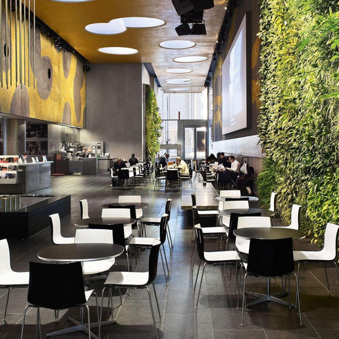 Catifa 46 0278 Chair Bicoloured Skids Chrome