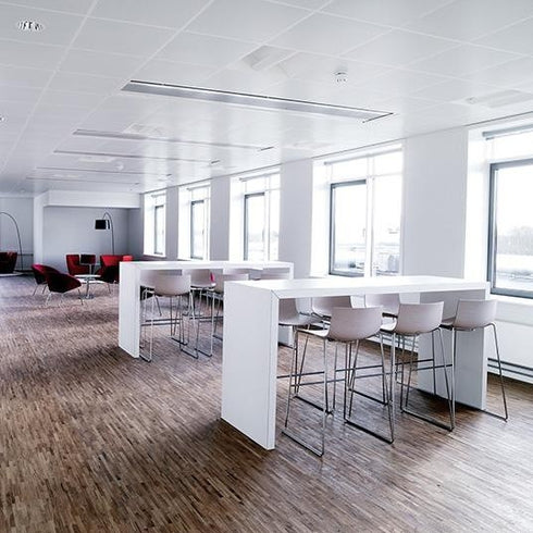 Catifa 46 0571 Bar Stool frame high, seat oak