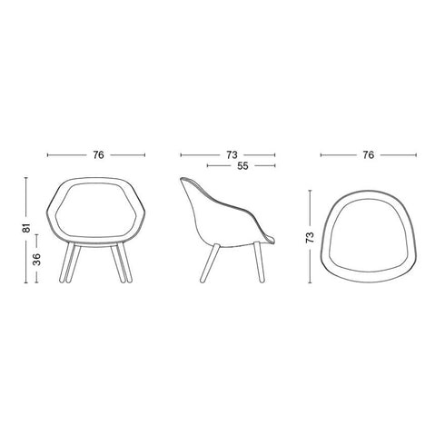 About a Lounge Chair AAL 82