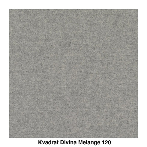 About a Lounge Chair AAL 93