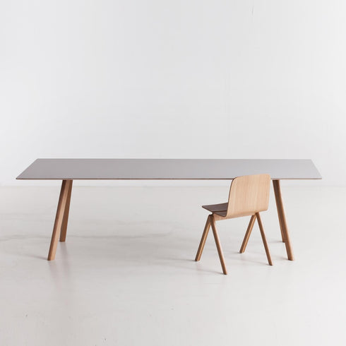Copenhagen CPH30 Dining Table Linoleum 200x90cm