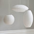 Nelson Ball Bubble Suspension Lamp
