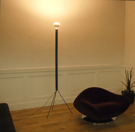 Luminator Floor Lamp