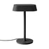 Linear Table Lamp