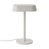 Linear Table Lamp