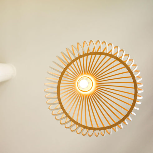 Octo 4240 Suspension Lamp