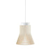 Petite 4600 Suspension Lamp