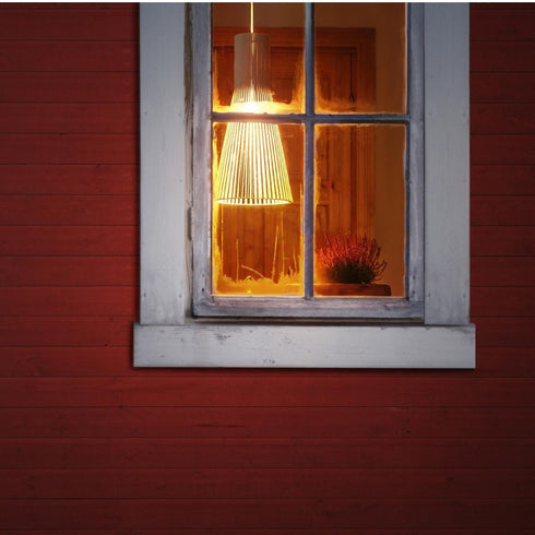 Secto 4200 Suspension Lamp