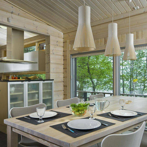 Secto 4201 Suspension Lamp