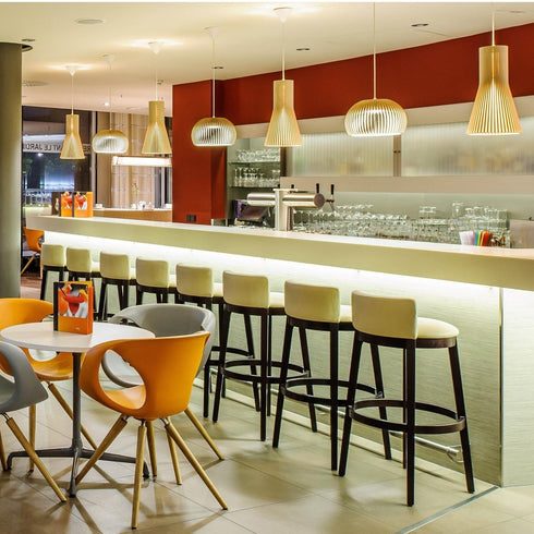 Secto 4201 Suspension Lamp