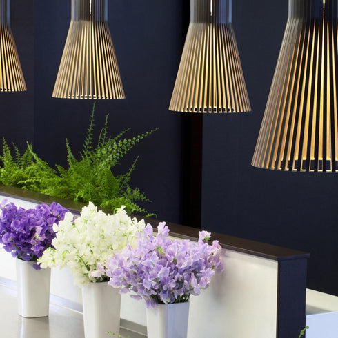 Secto 4201 Suspension Lamp