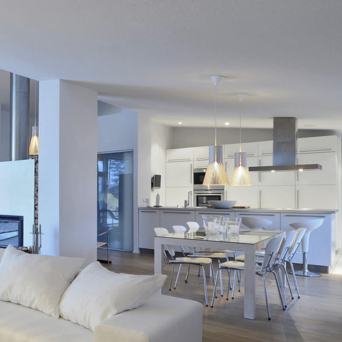 Secto 4201 Suspension Lamp