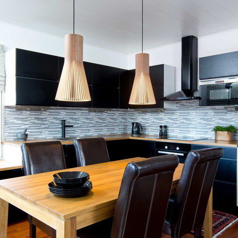 Secto 4201 Suspension Lamp