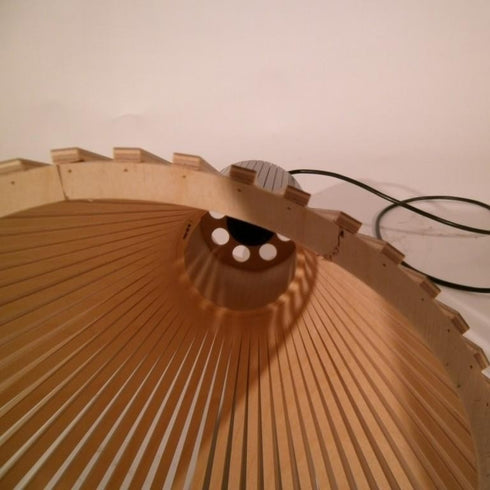 Secto 4201 Suspension Lamp