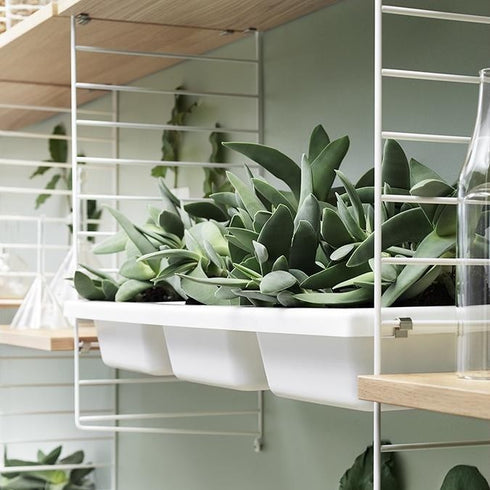 String System Bowl Shelf