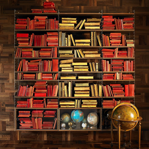 String System Wall Ladder Acrylic Glass 50x20cm