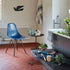 Eames Chair in DSW Fiberglass / Dark Maple