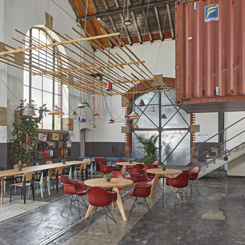 Eames DAR Plastic Armchair / Black Base