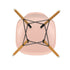 Eames Chair in DSW Plastic / Golden Maple