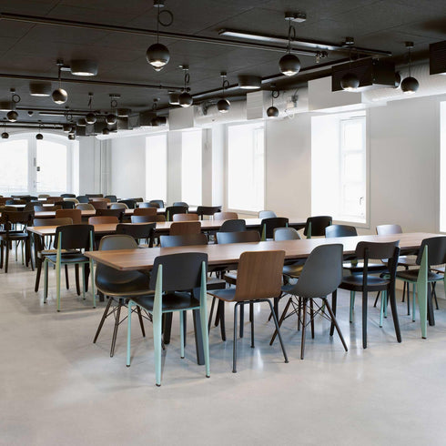 Eames Chair in DSW Plastic / Black Maple Base