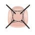 Eames Chair in DSW Plastic / Dark Maple Base
