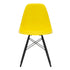 Eames Chair in DSW Plastic / Black Maple Base