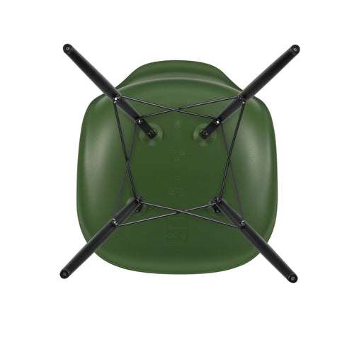 Eames Chair in DSW Plastic / Black Maple Base