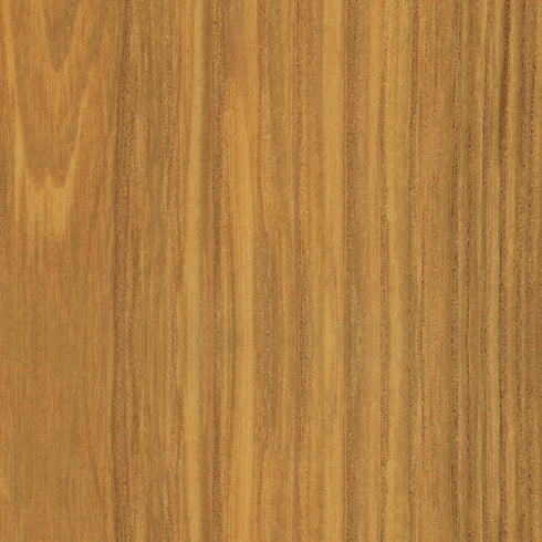 Eames Chair in DSW Plastic / Ash Base