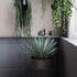 Plant Box Round