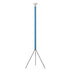 Luminator Floor Lamp