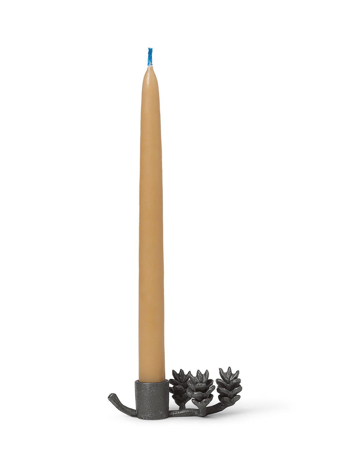 Candlestick Forest