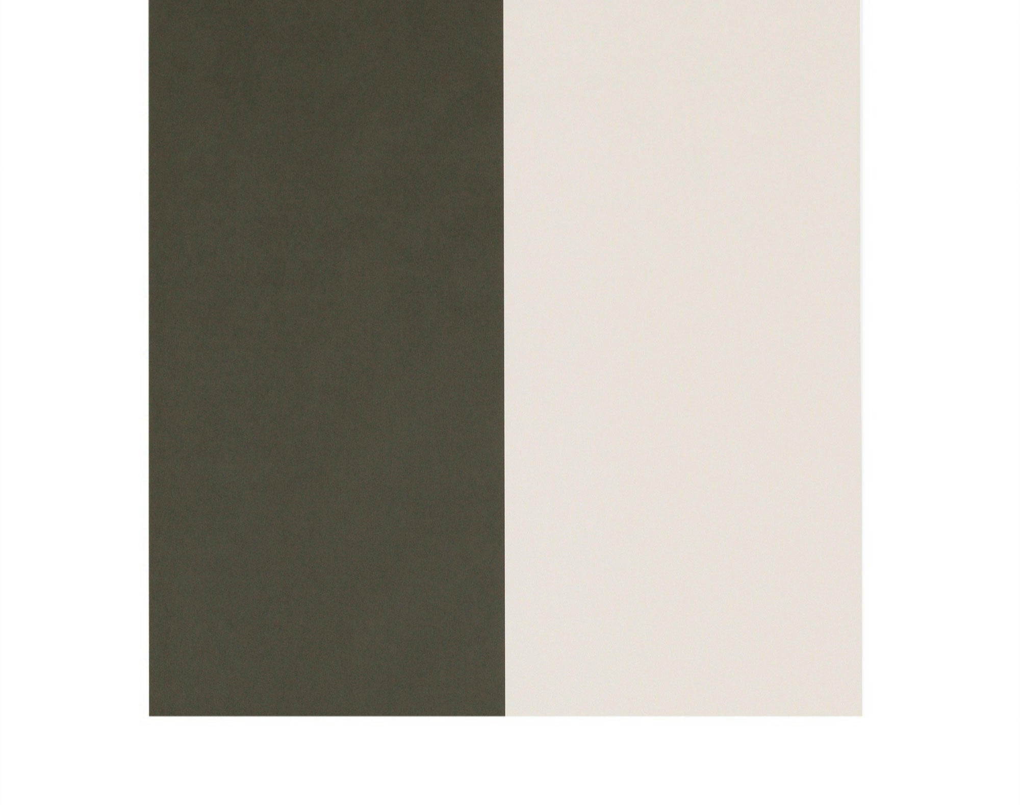 Papel de Parede Thick Lines