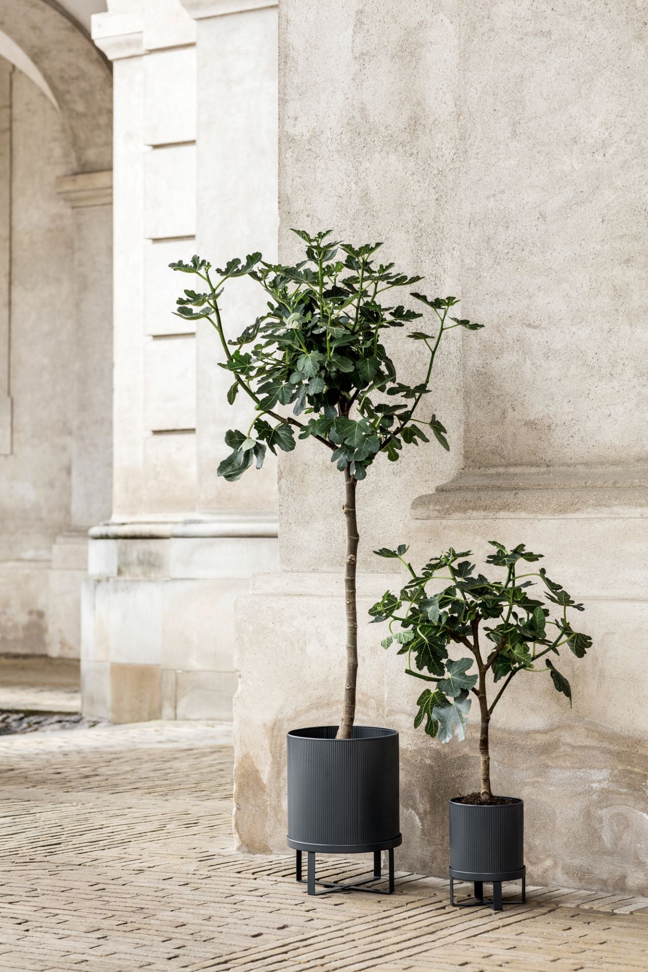 Vaso Bau Pot S