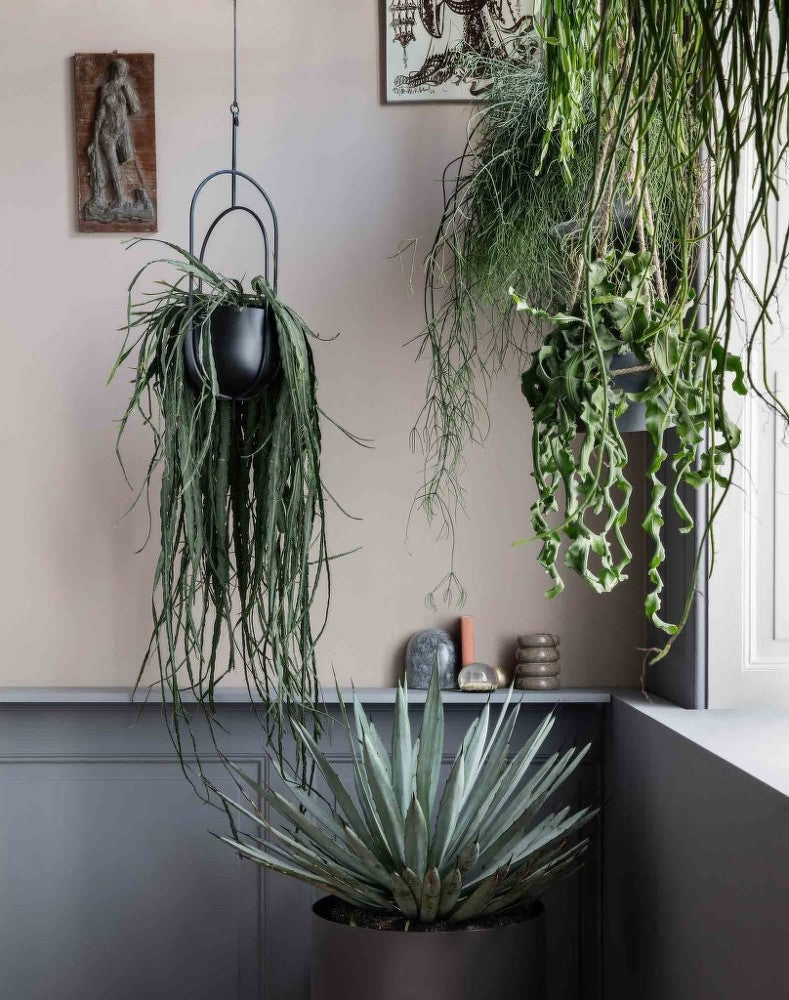 Vaso Hanging Deco Pot