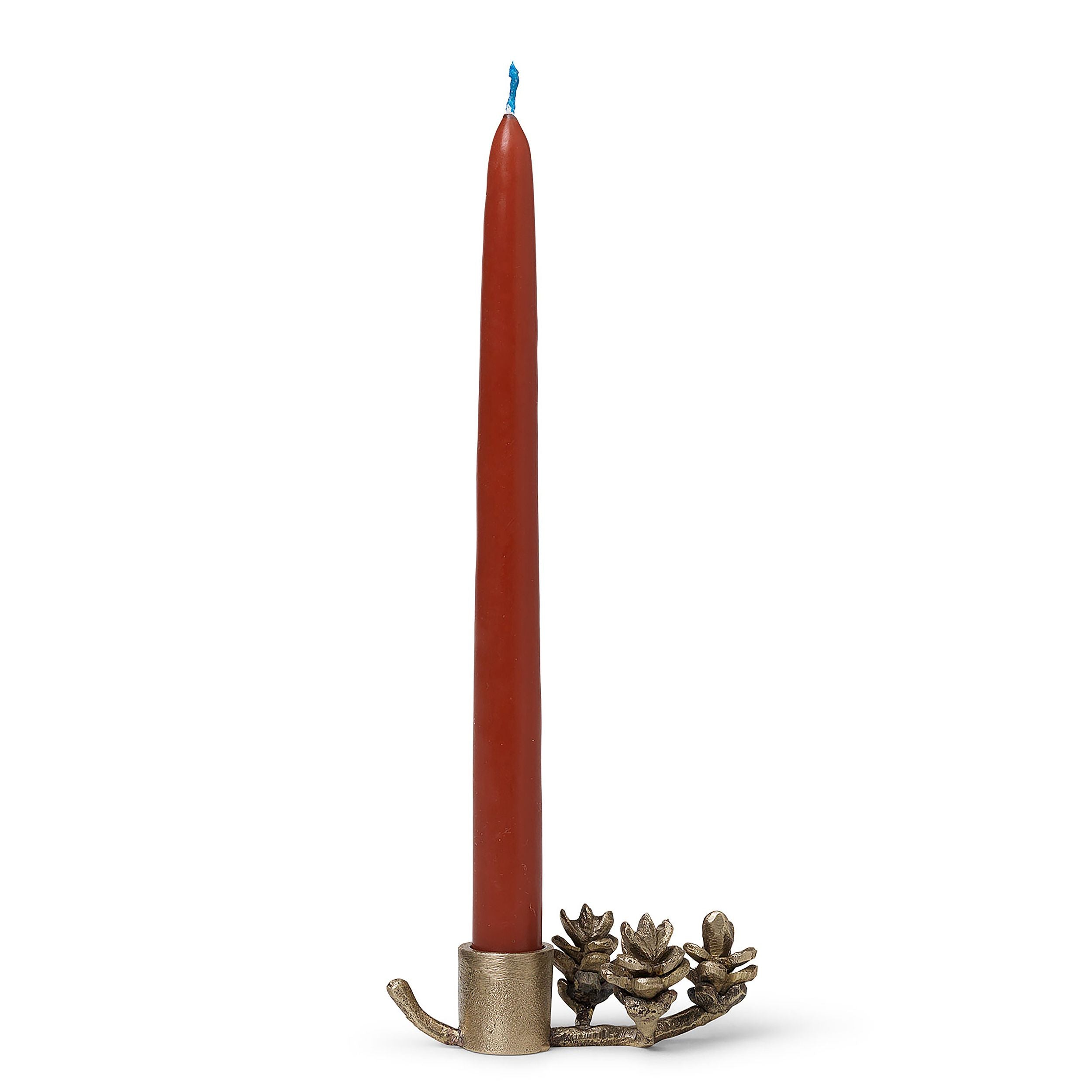 Candlestick Forest